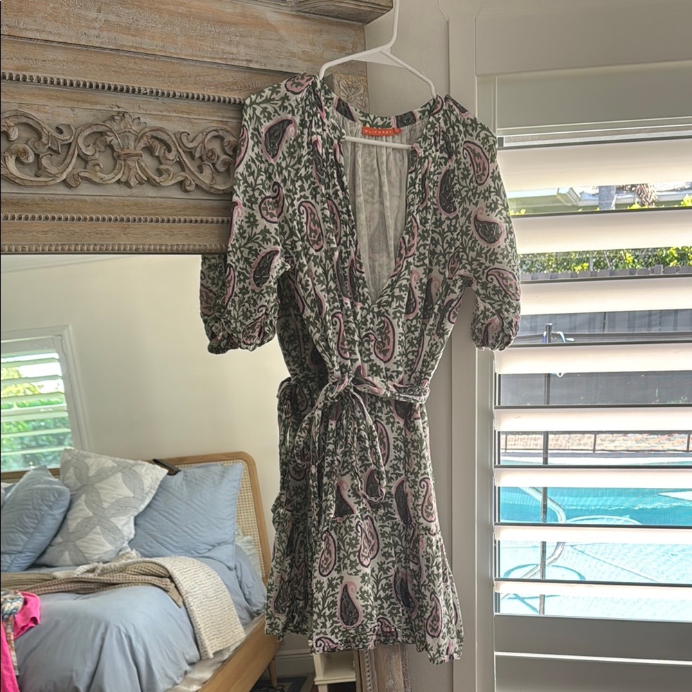 Oliphant Paisley Print Dress - Pink and Green